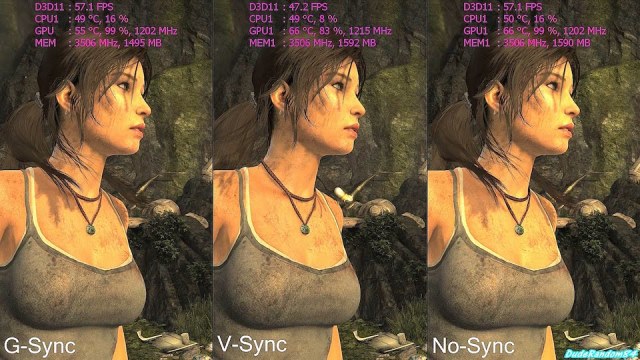 nvidia va amd nen chon loai nao